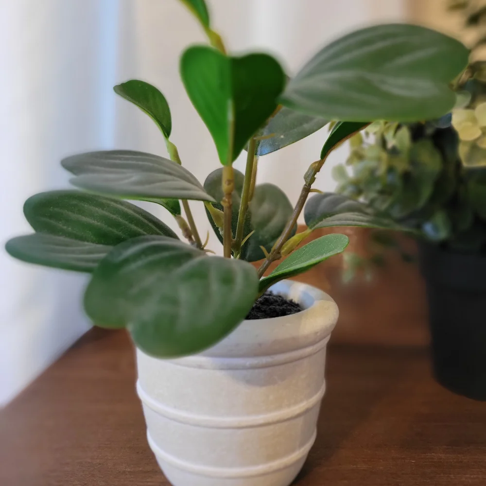 Artificial Eucalyptus Plant in Green Pot - Home Accents - Picture 3 of 5